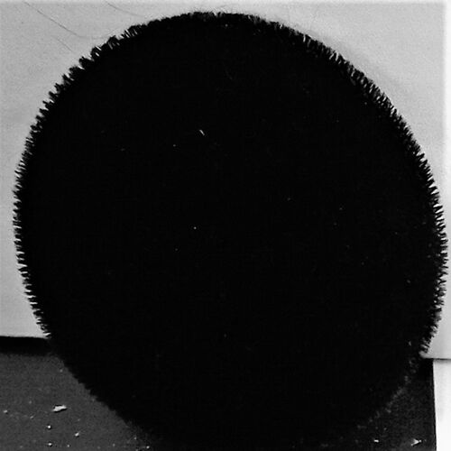 Rosette ROR  Thumbnail