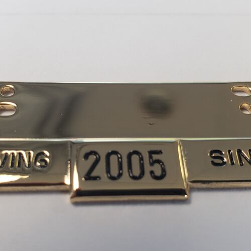 Drop Down Gold  Serving Since Pin  Thumbnail