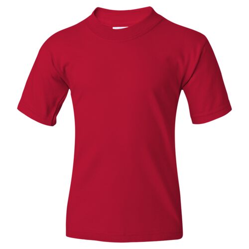 Dynasty HiDENSI-T Youth T-Shirt Thumbnail