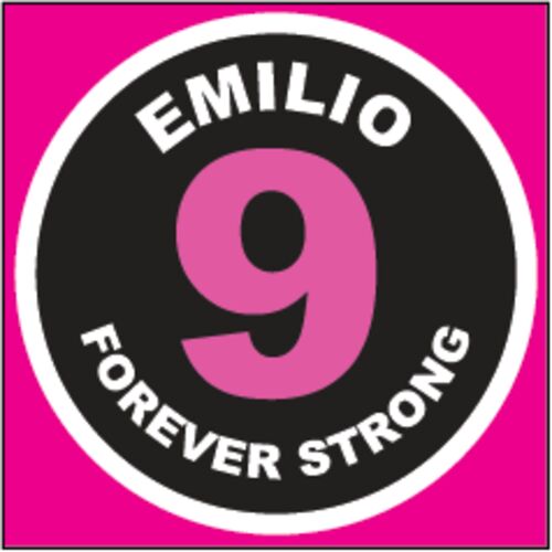 Bedford Park District Emilio Strong Patch  Thumbnail